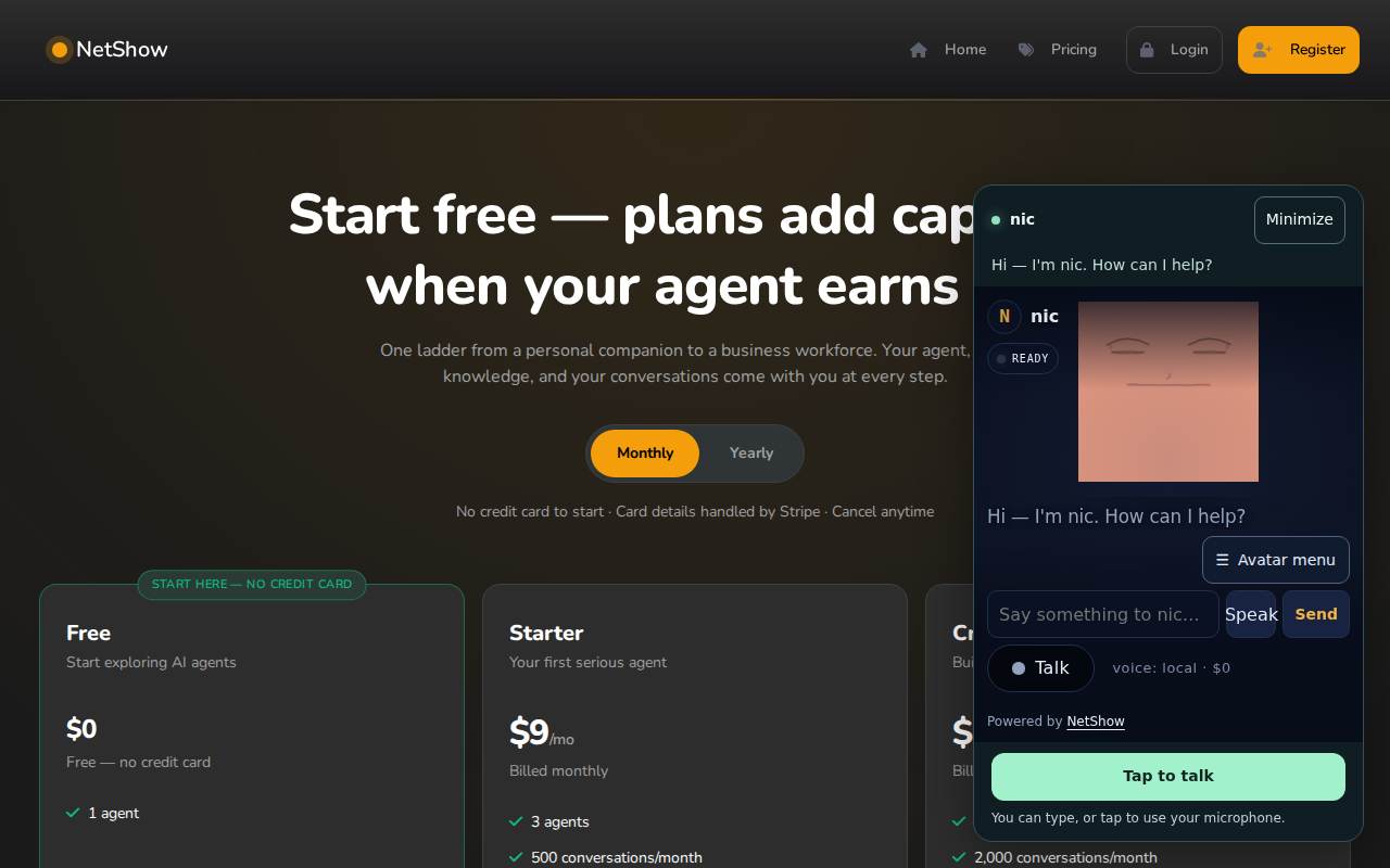 The working NetShow product and its plan experience
